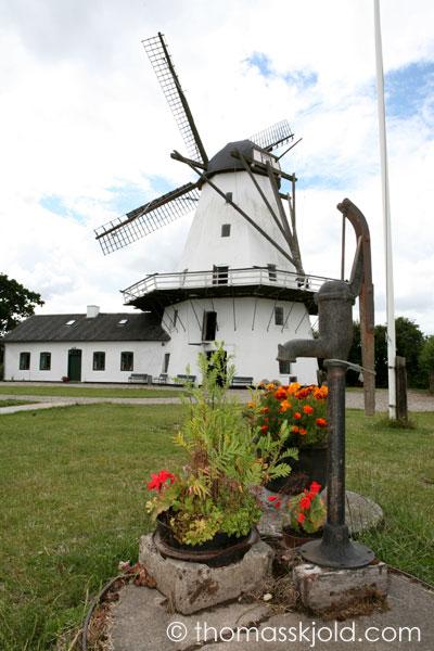 IMG_5768.jpg - Sillerup Mølle er en flot gallerihollænder opført i 1859. Det er en kornmølle med boghvedeværk.Møllen blev restaureret i 1986 og årene frem.