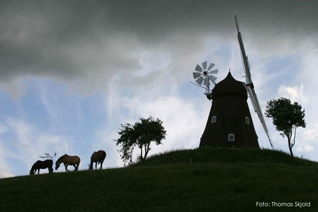 skamstrup_moelle_1.jpg - Aftenstemning ved Skamstrup Mølle.